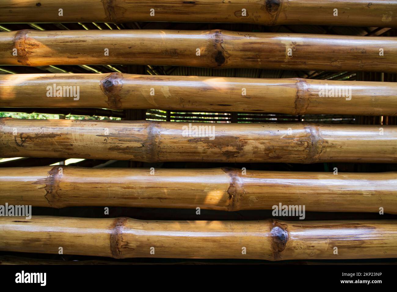 Varnish bamboo fence abstract background texture Stock Photo Alamy