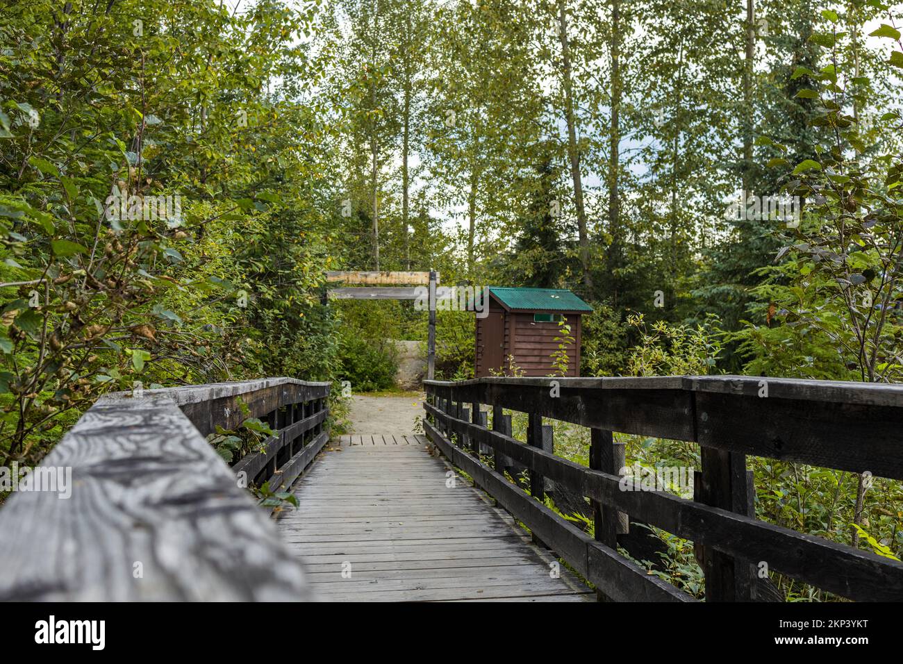 Ancient Forest/Chun T'oh Whudujut Provincial Park located midway