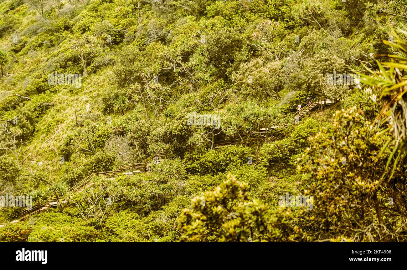 Lush green landscape on a coastal country stairway leading diagonally