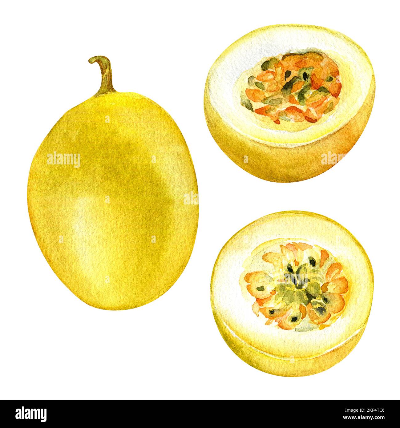 Set of passion fruits watercolor illustration isolated on white