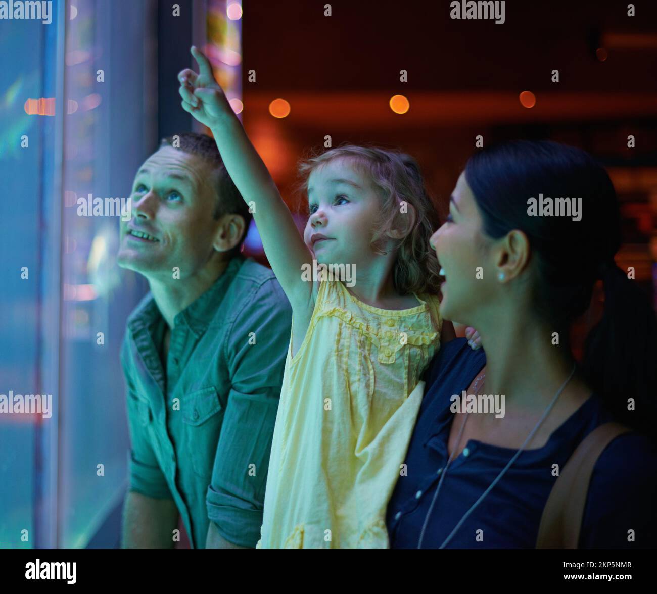 Family at sea aquarium hi-res stock photography and images - Alamy