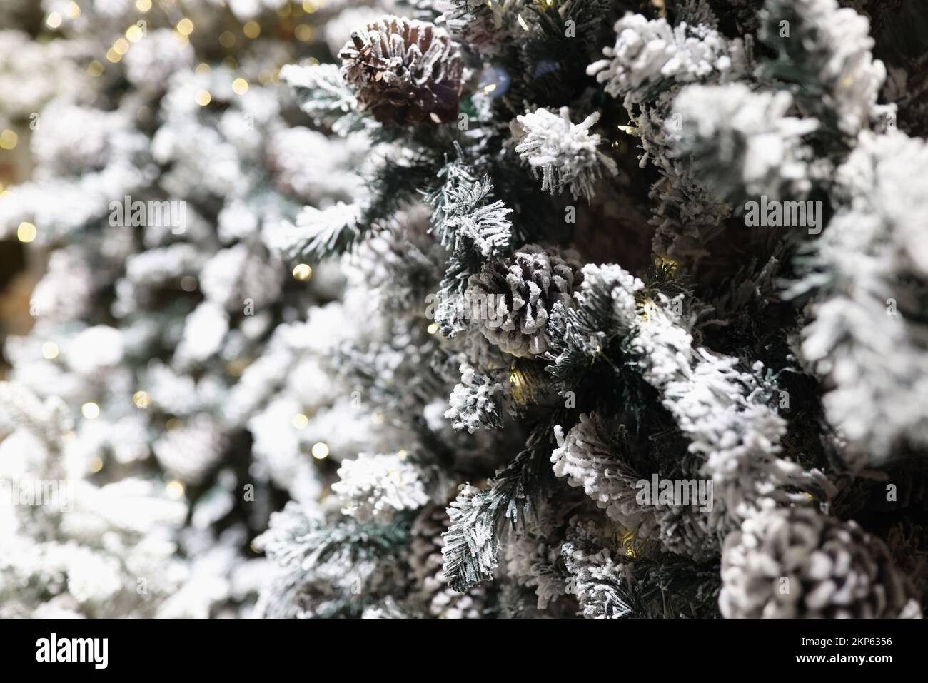 Fir branches in snow with christmas garlands closeup Stock Photo