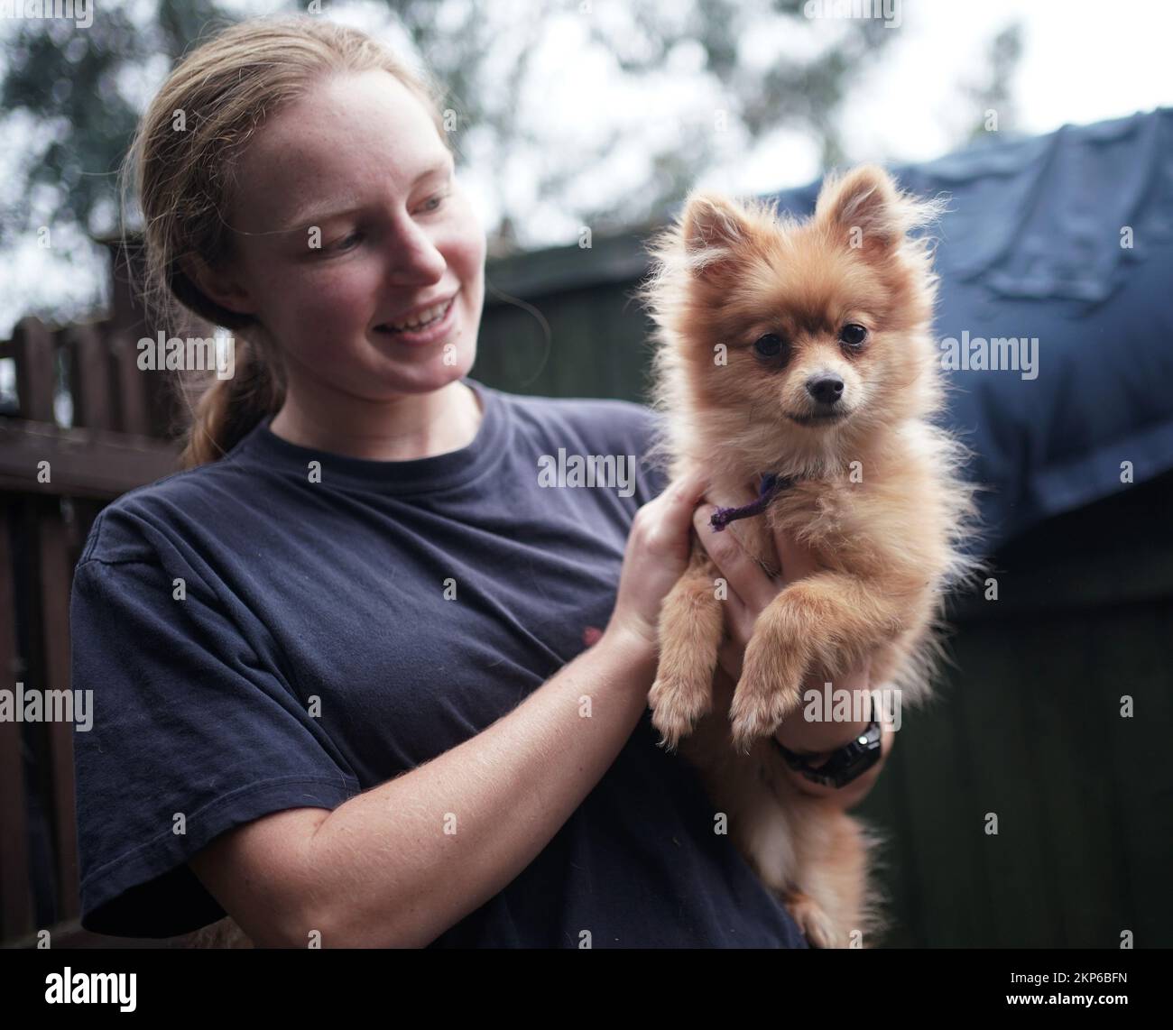 Rspca pomeranian best sale