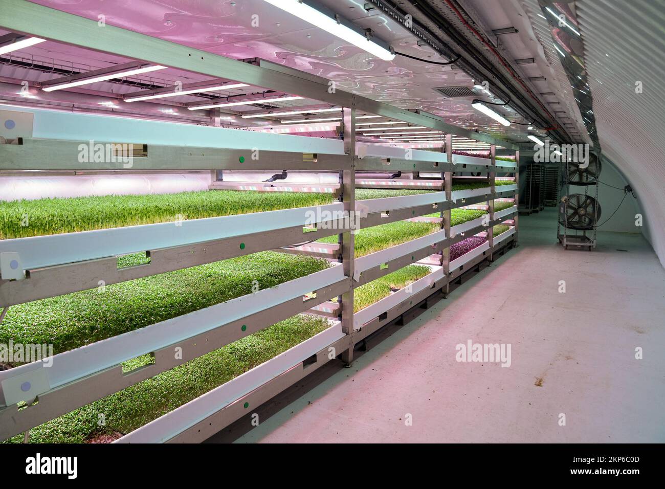 Hydroponic london hires stock photography and images Alamy