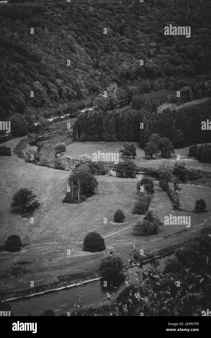 An aerial view of forest surrounded by dense trees Stock Photo - Alamy