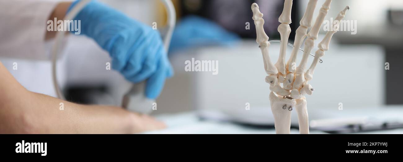 Doctor do ultrasound of hand, skeleton hand model on desk, medical anatomy science Stock Photo