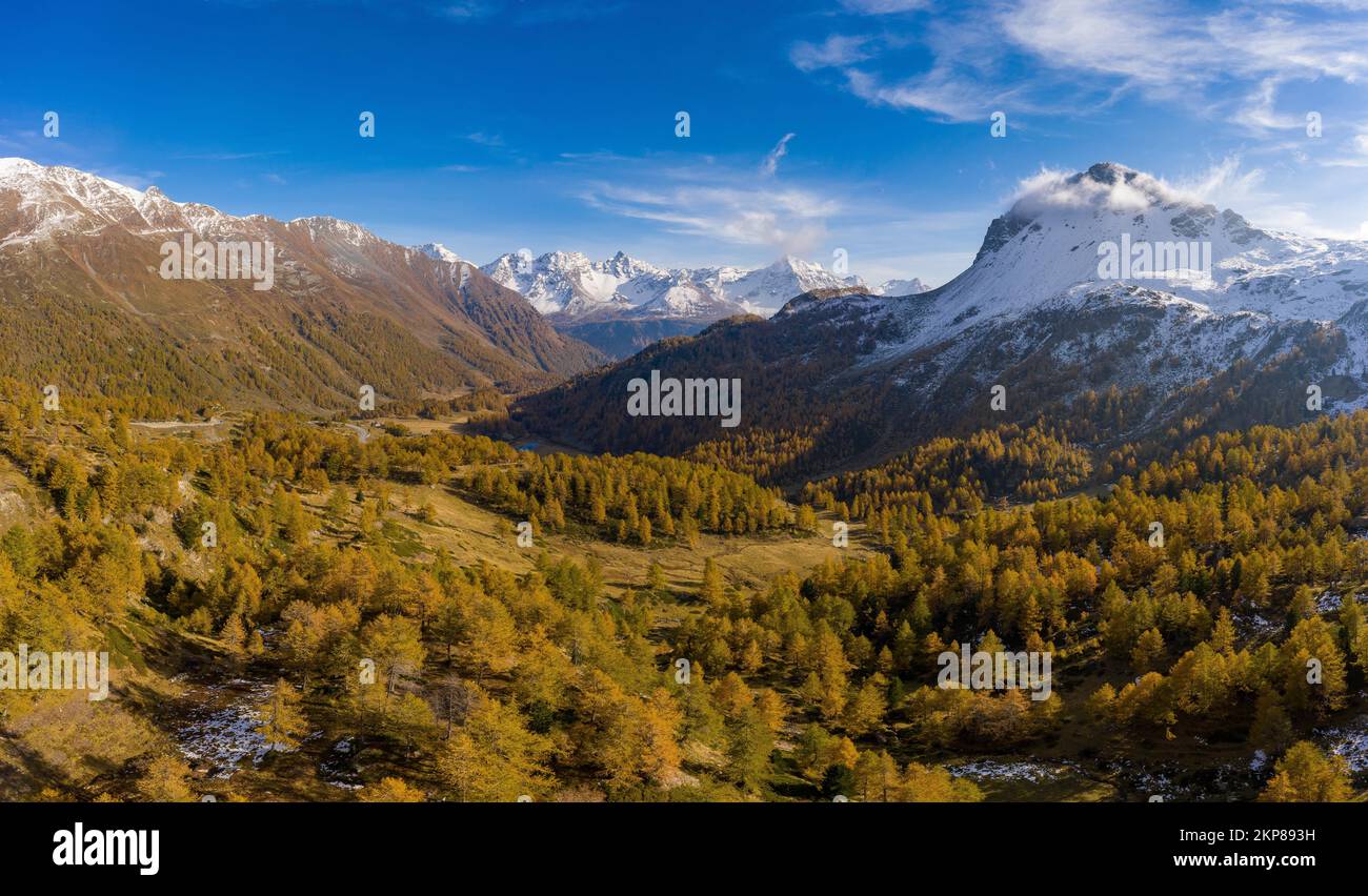 Aerial View Over Val Poschiavo With Its Larch Forests In Autumn Dress 