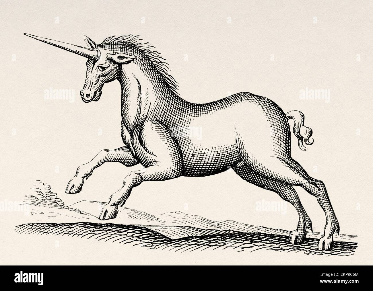 Unicorn. Monoceros seu unicorn. Old 19th century engraved illustration
