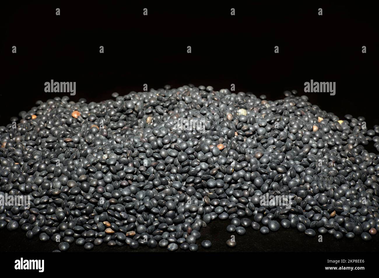 Beluga Lentils (Lens culinaris) (Synonym Ervum lens L.), Food