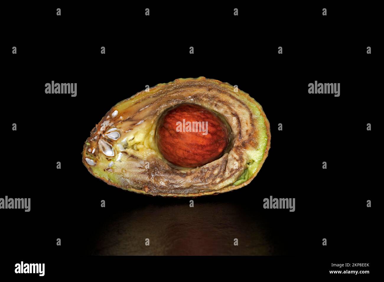 Symbol photo transience, halved overripe avocado (Persea americana Mill.) with pit, food photo with black background Stock Photo