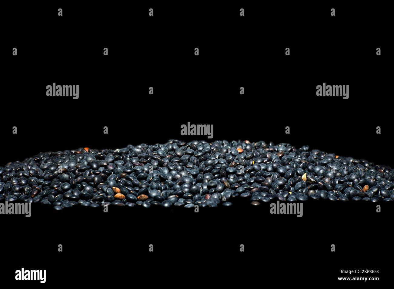 Beluga Lentils (Lens culinaris) (Synonym Ervum lens L.), Food