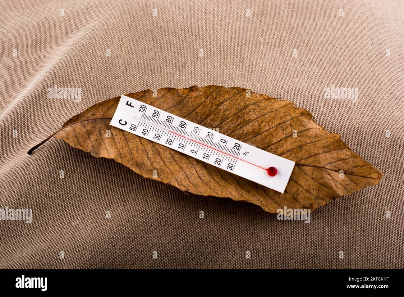 Plant thermometer hi-res stock photography and images - Alamy