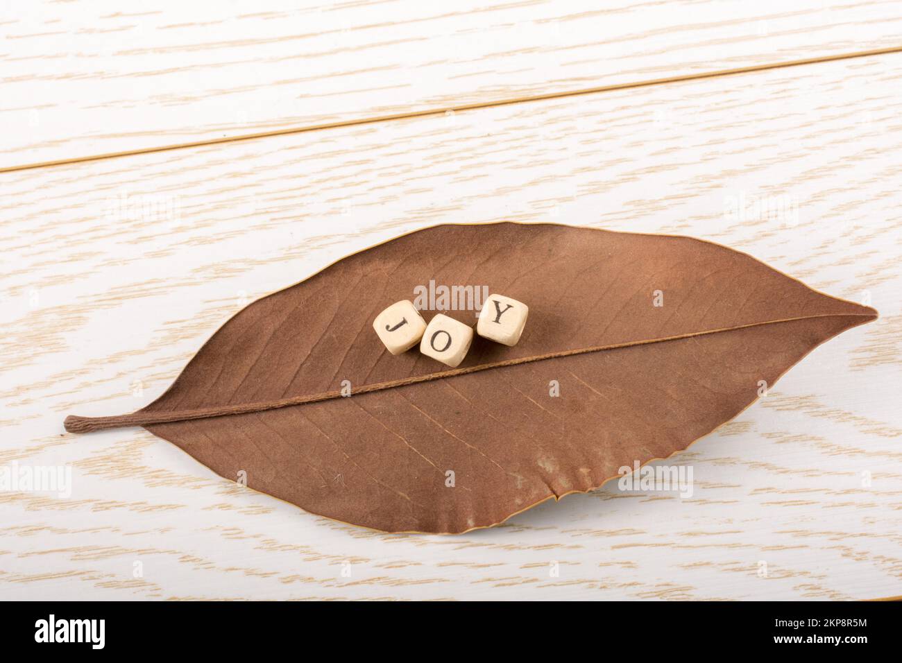 Text Message wording of the word JOY on a leaf Stock Photo