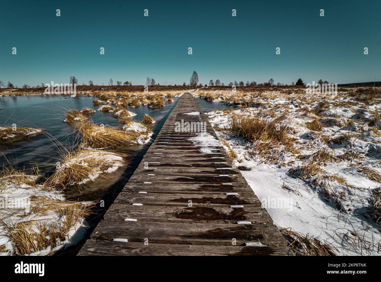 A wooden path surrounded by snow covered grasses and water Stock Photo ...