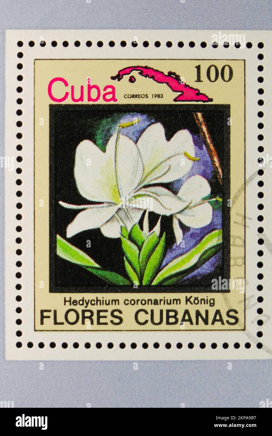 MOSCOW, RUSSIA - OCTOBER 29, 2022: Postage stamp printed in Cuba shows Hedychium coronarium, Flowers of Cuba (Flores Cubanas) serie, circa 1983 Stock Photo