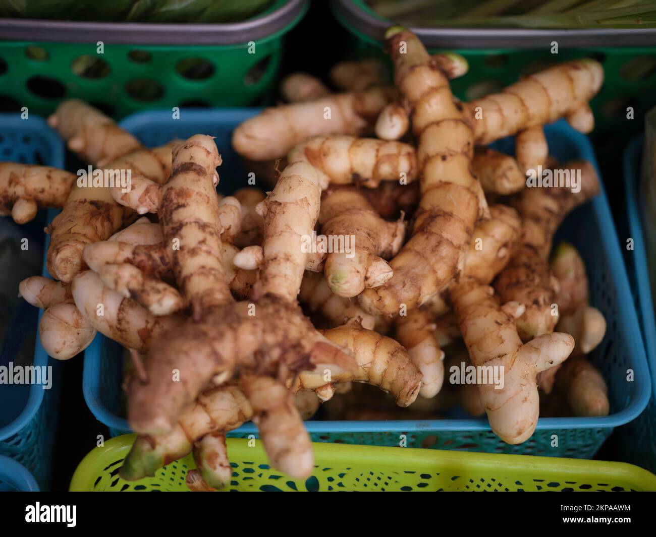 THAI market with various colorful fresh vegetables Stock Photo