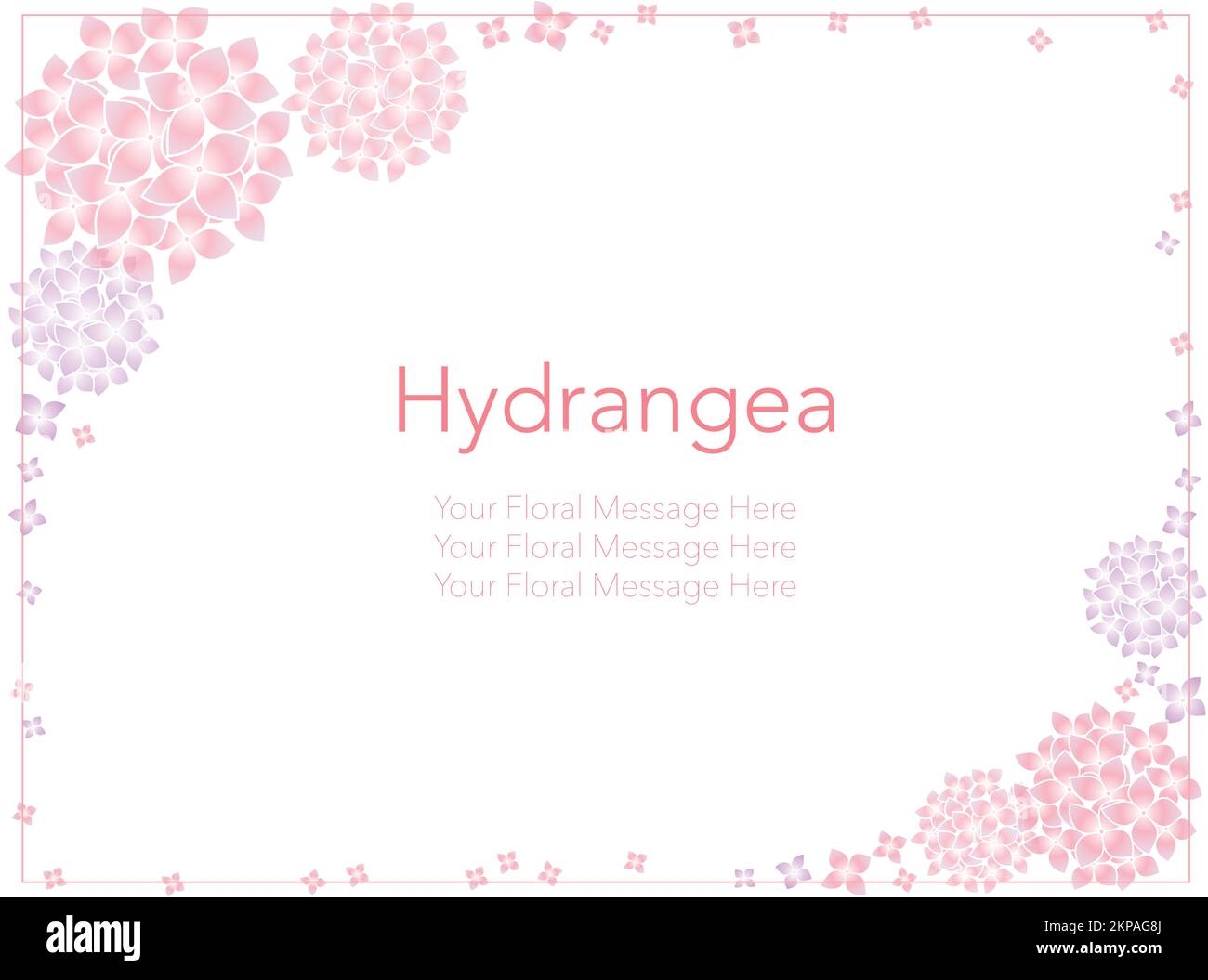 Vector hydrangeas frame illustration with text space isolated on a white background. Stock Vector