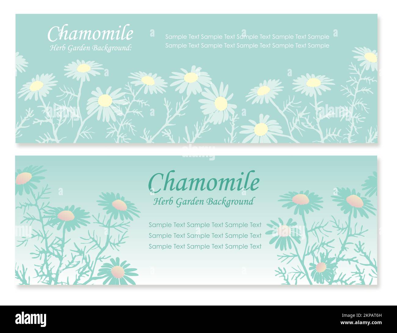 Set of seamless vector background illustrations with chamomile. Horizontally repeatable. Stock Vector