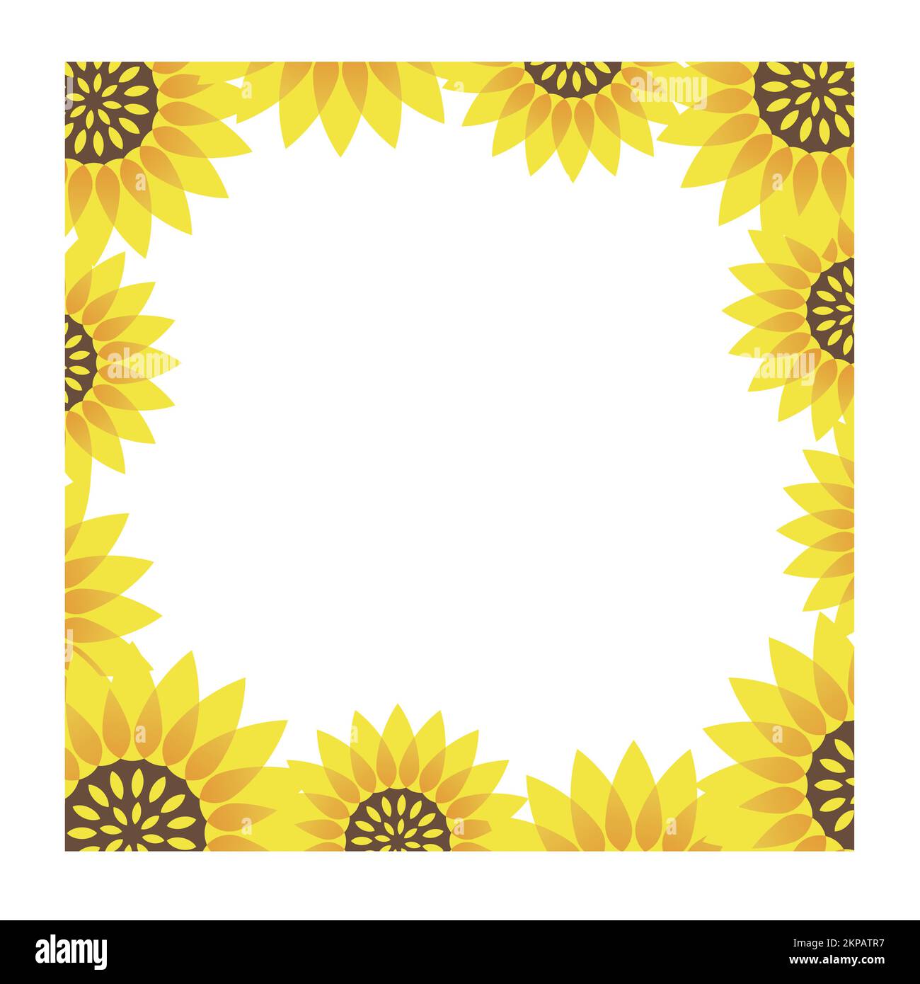 Set of seamless vector background illustrations with chamomile. Horizontally repeatable. Stock Vector