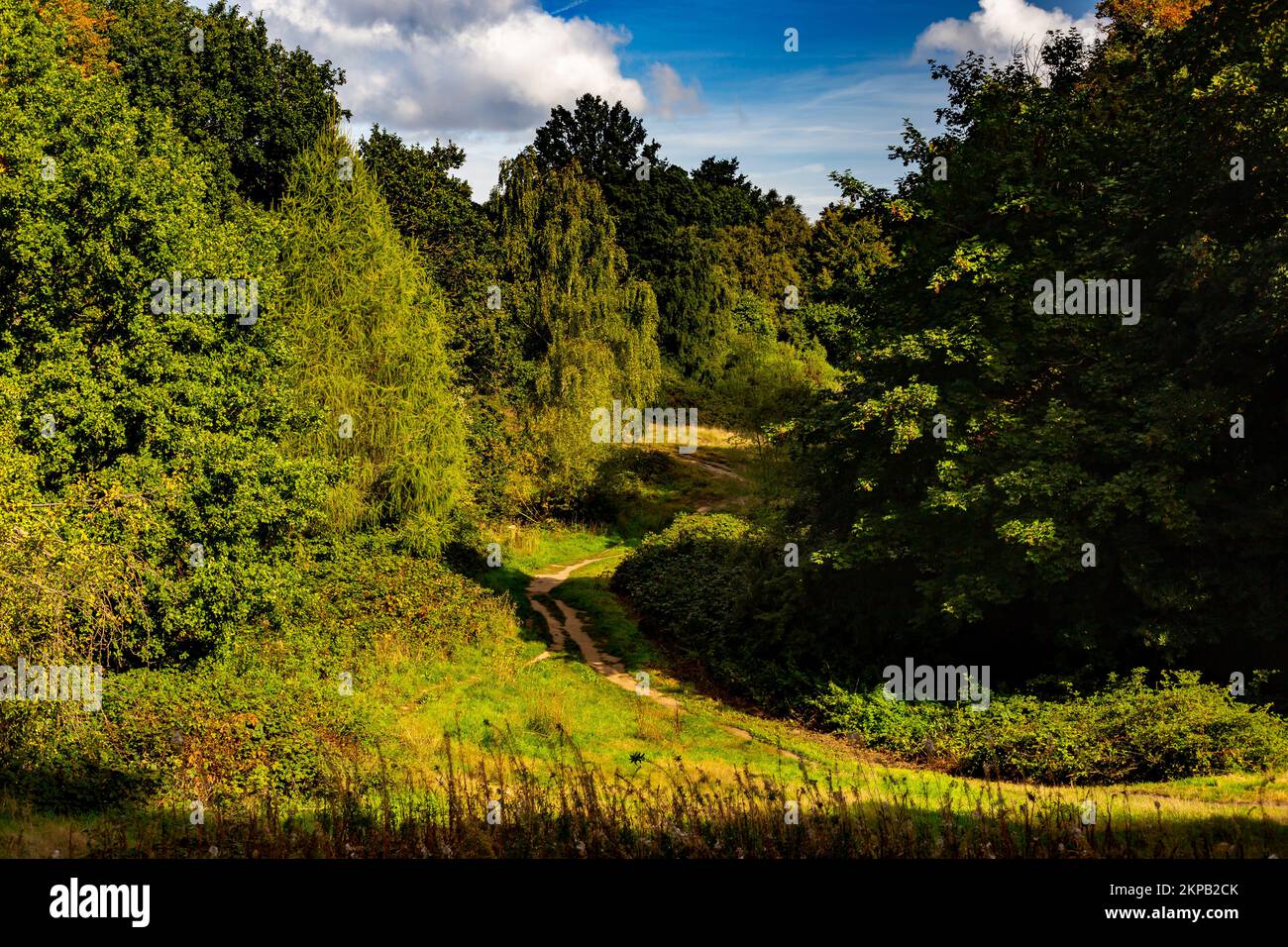 Hugely popular walking area hi res stock photography and images Alamy