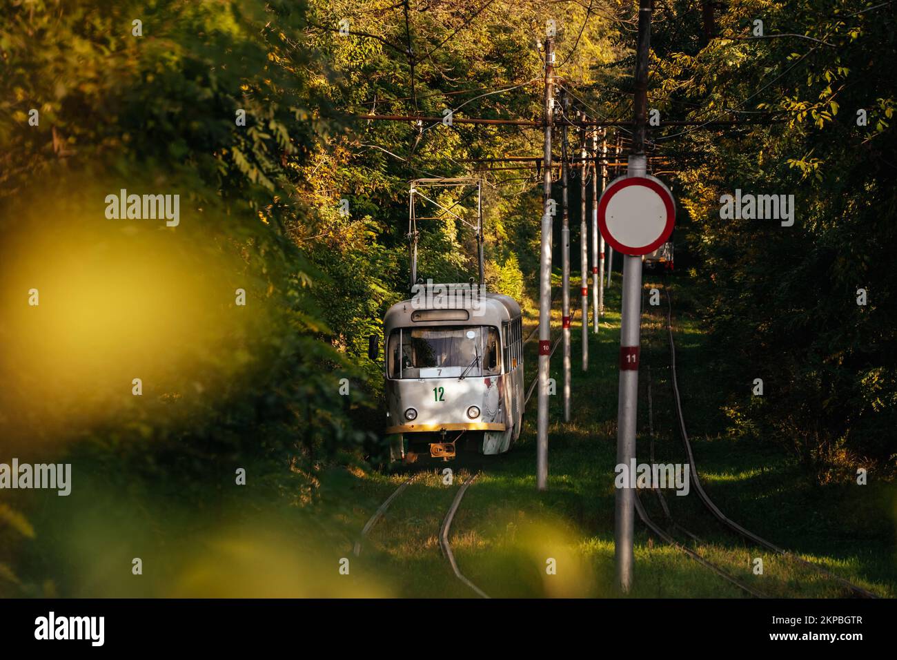 A vintage tram rides through an autumn sunny forest. Electrical streetcar in nature scene. Summer landscape in a park with tram. Electric city transport in Europe Stock Photo