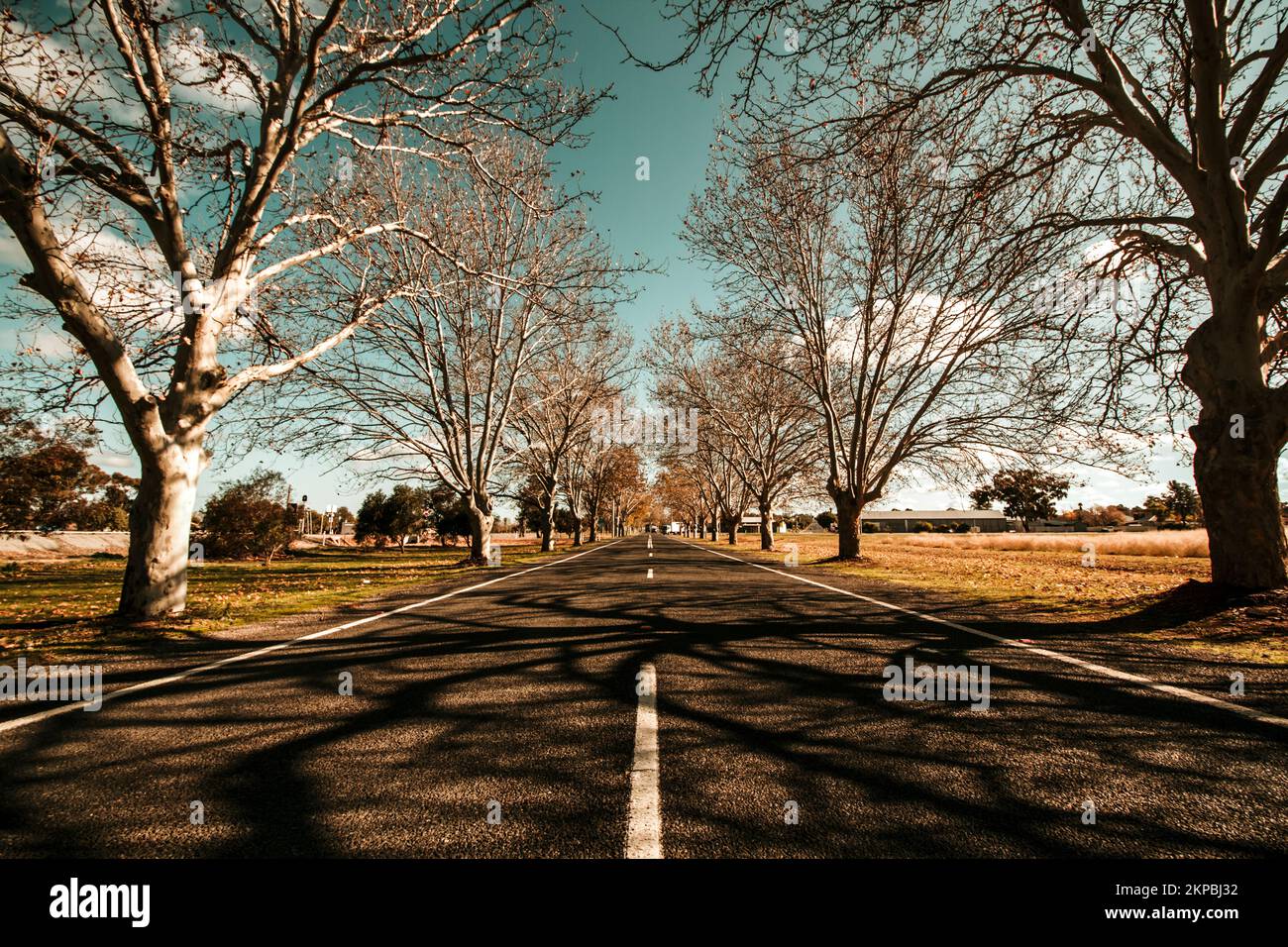 Beautiful roadway landscape on the entrance to Narrandera, Town of Trees, in Wiradjuri Country, NSW, Australia Stock Photo