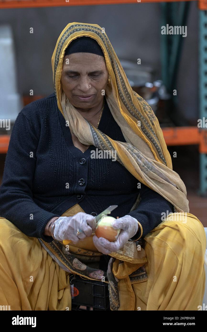 A Sikh woman peeling & cutting onions in her temple's langar, a free vegetarian communal kitchen in Richmond Hil, Queens, New York City. Stock Photo