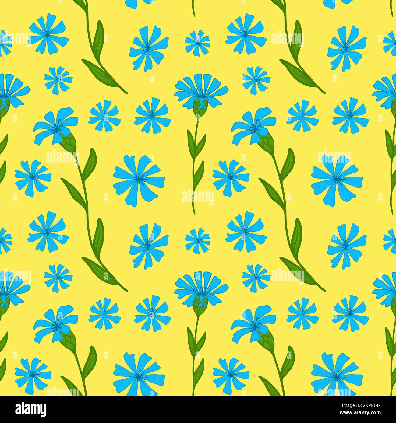 Cornflower vector seamless pattern. Blue flowers of cornflowers on a