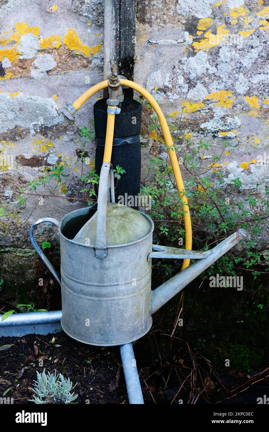 An old steel watering can - John Gollop Stock Photo