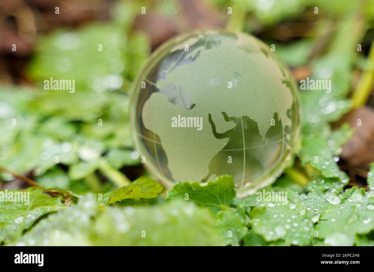 Ecology and planet concept. A glass globe lies on the green grass ...