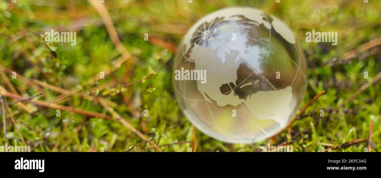 Ecology and planet concept. There is a glass globe on the green moss ...