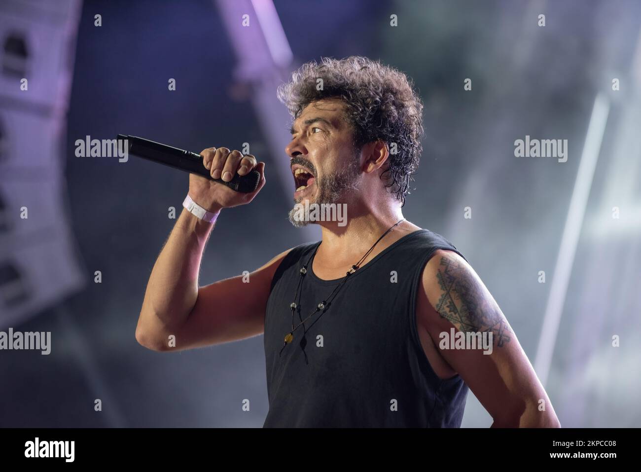 Galati, Romania - September 17, 2022: Artist Adrian Despot from Vita de ...