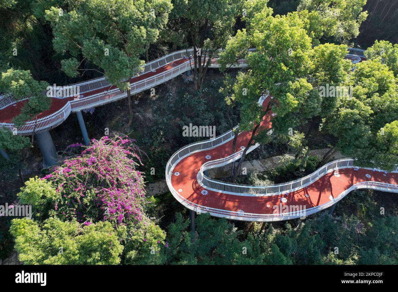 FUZHOU, CHINA - NOVEMBER 28, 2022 - A view of the Jasmine