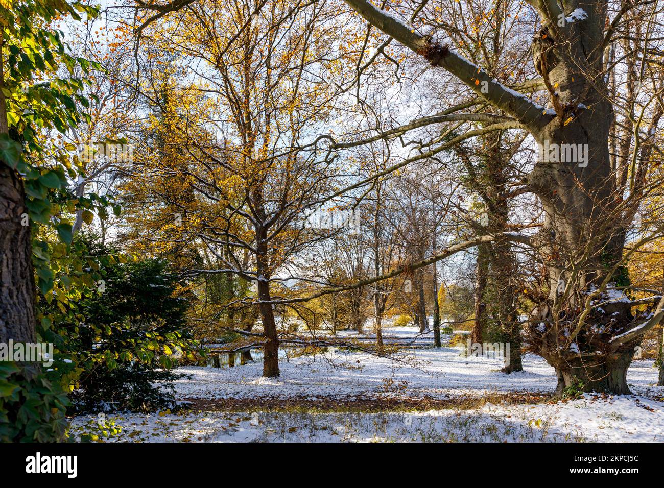 A landscape park in the winter season Stock Photo