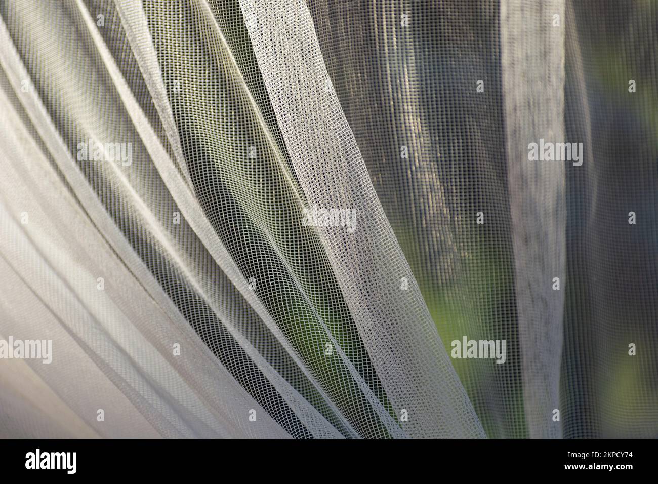Close-up of a white and wrinkled mesh curtain in the window Stock Photo