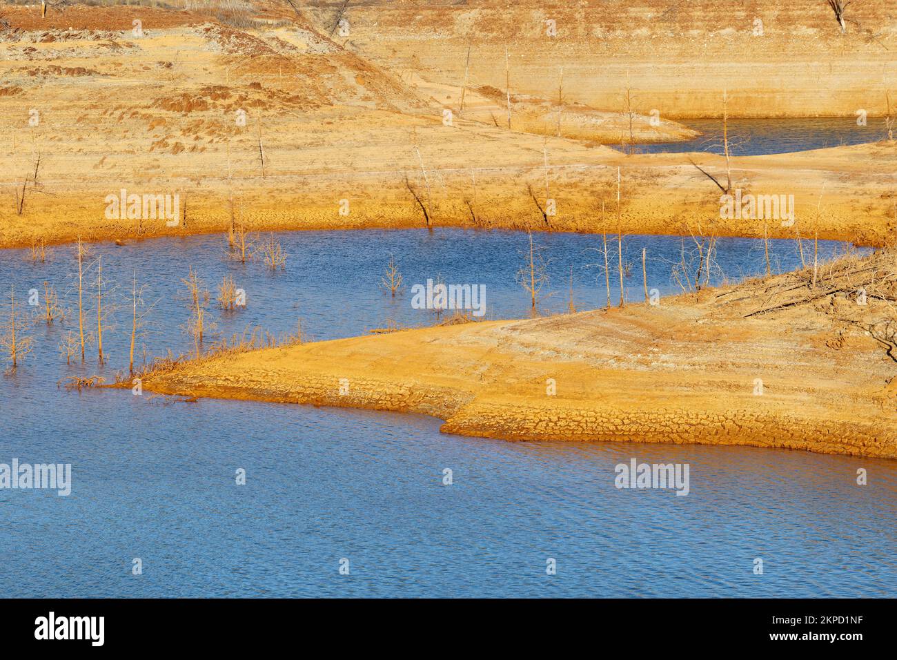 Low levels of water in the reservoir. Dry climate. Shortage of water. Dead trees. Climate change and global warming. There is no planet B. Stock Photo