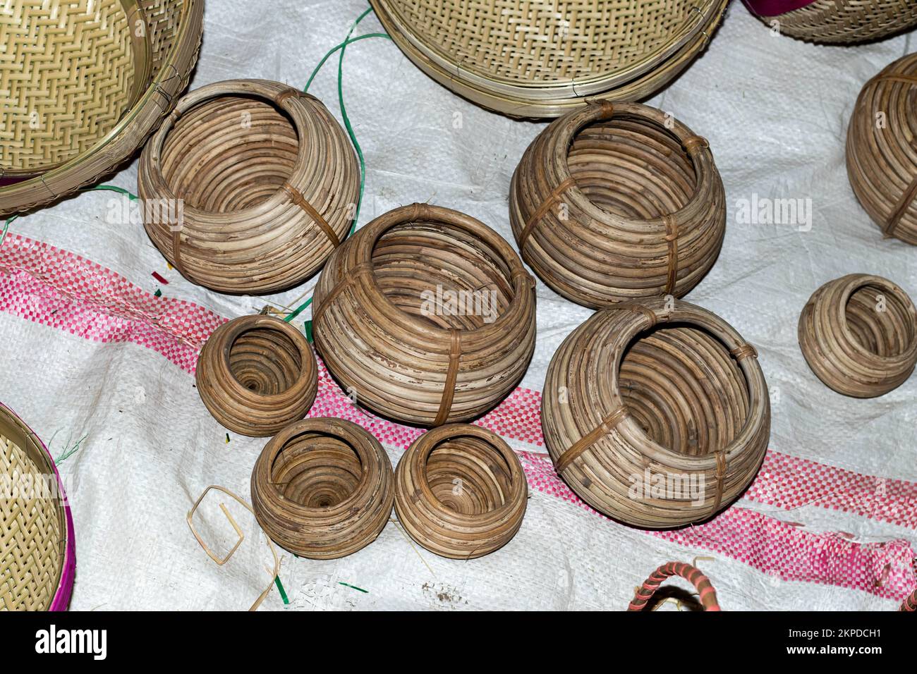 The cane is used for making common household accessories.Bamboo and