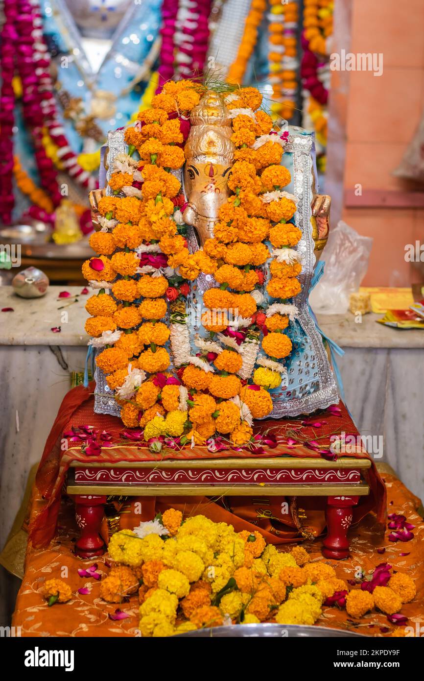 hindu god ganesha idol worshiped with flowers vertical shot from flat angle image is taken at ganesh temple ratanada jodhpur rajasthan india. Stock Photo