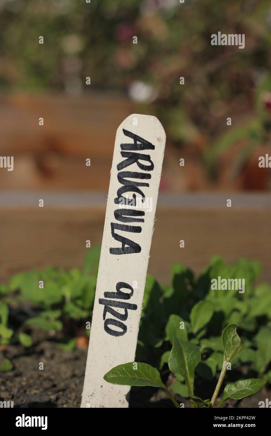 Typical common plastic garden stake with handwritten text Stock Photo Alamy