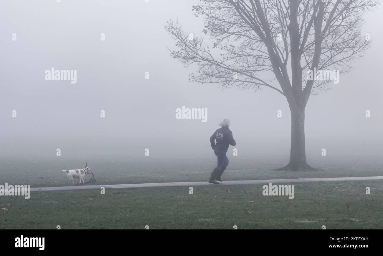 Harrogate, UK. 28th Nov, 2022. An eerie landscape was created by the fog on the Stray in the town centre this morning. A lady runs through the park with her dog. Picture Credit: ernesto rogata/Alamy Live News Stock Photo