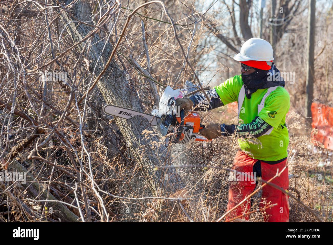 Detroit, Michigan - Workers clear brush and debris from an abandoned railroad right of way that will be part of the Joe Lewis Greenway, a 27.5 mile hi Stock Photo