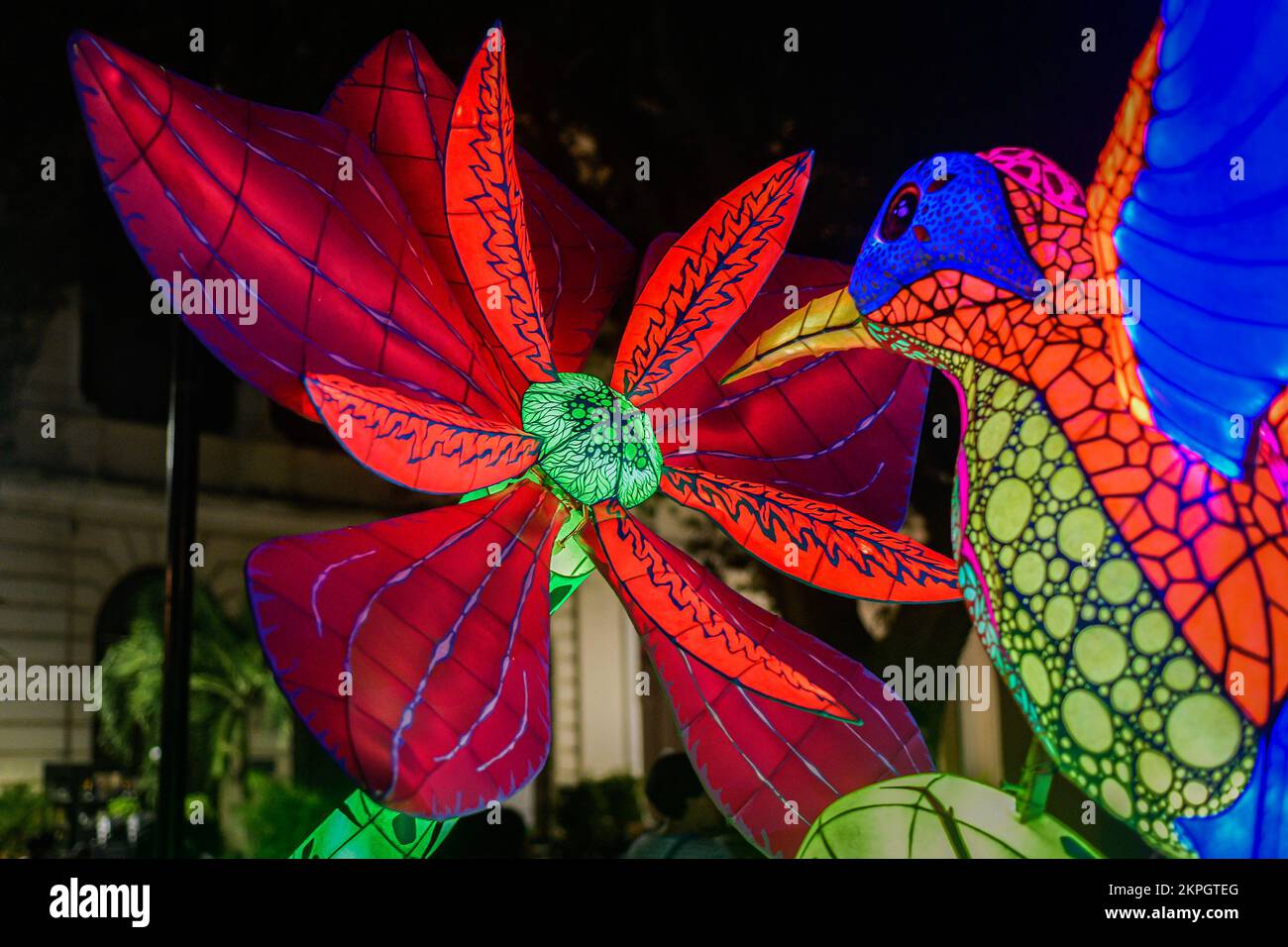 International festival with artists hi-res stock photography and images -  Page 24 - Alamy