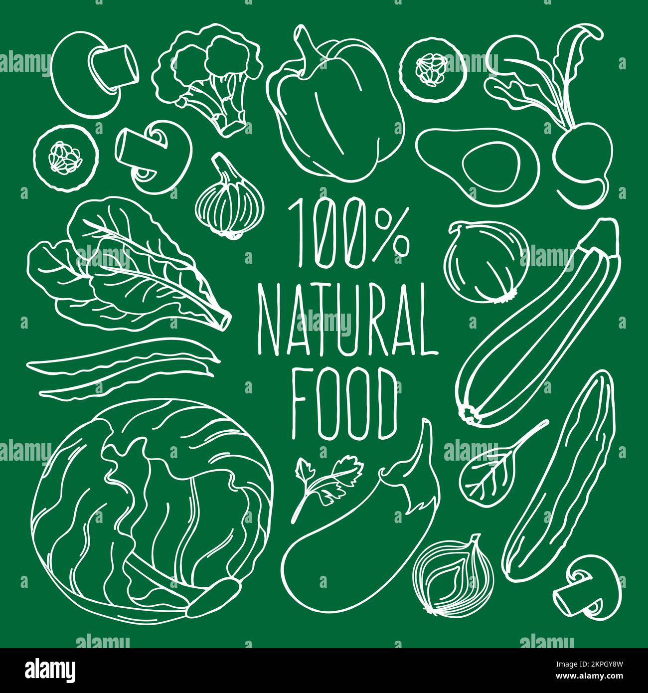 RAW FOOD Vegetarian Vegetable Cuisine Menu Healthy Low Carb Diet Proper