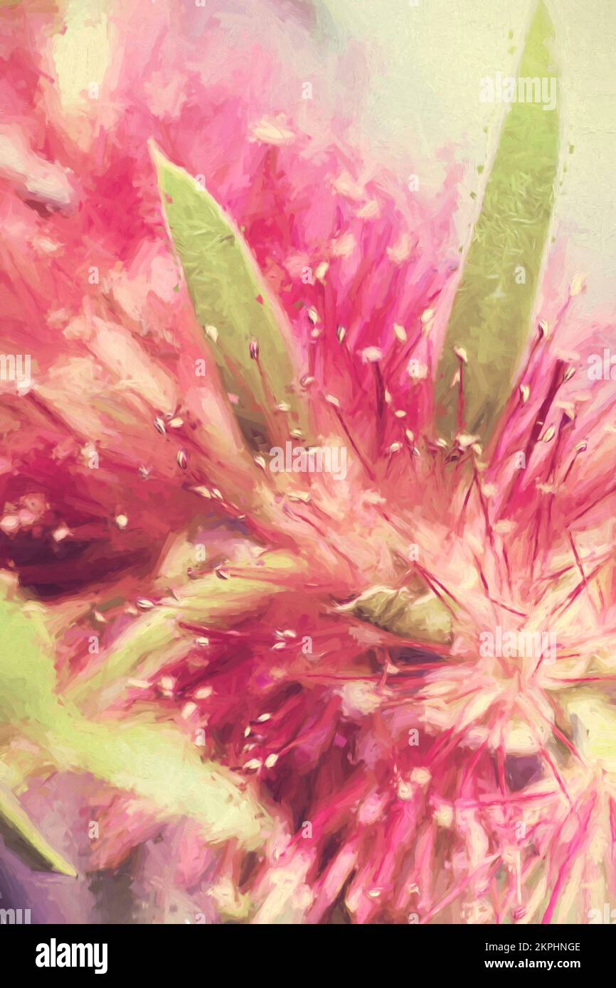 Fine art digital painting of the Australian native Bottlebrush flower