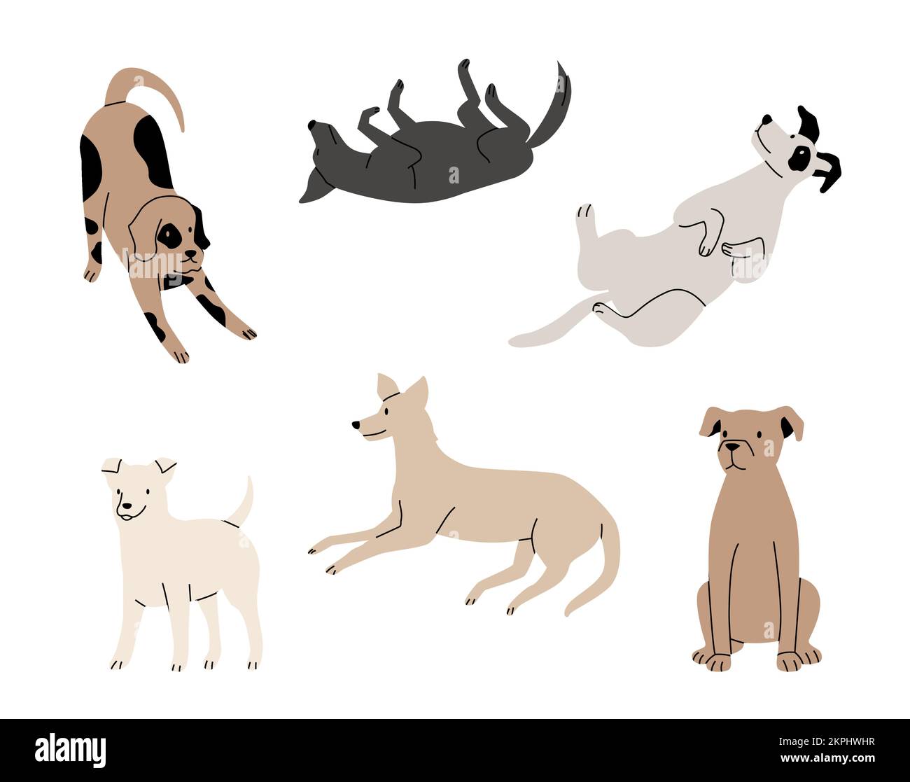 Funny active dogs in different positions. Playful pets, sitting, standing and lying puppies isolated set. Cartoon domestic purebred characters. Friend Stock Vector