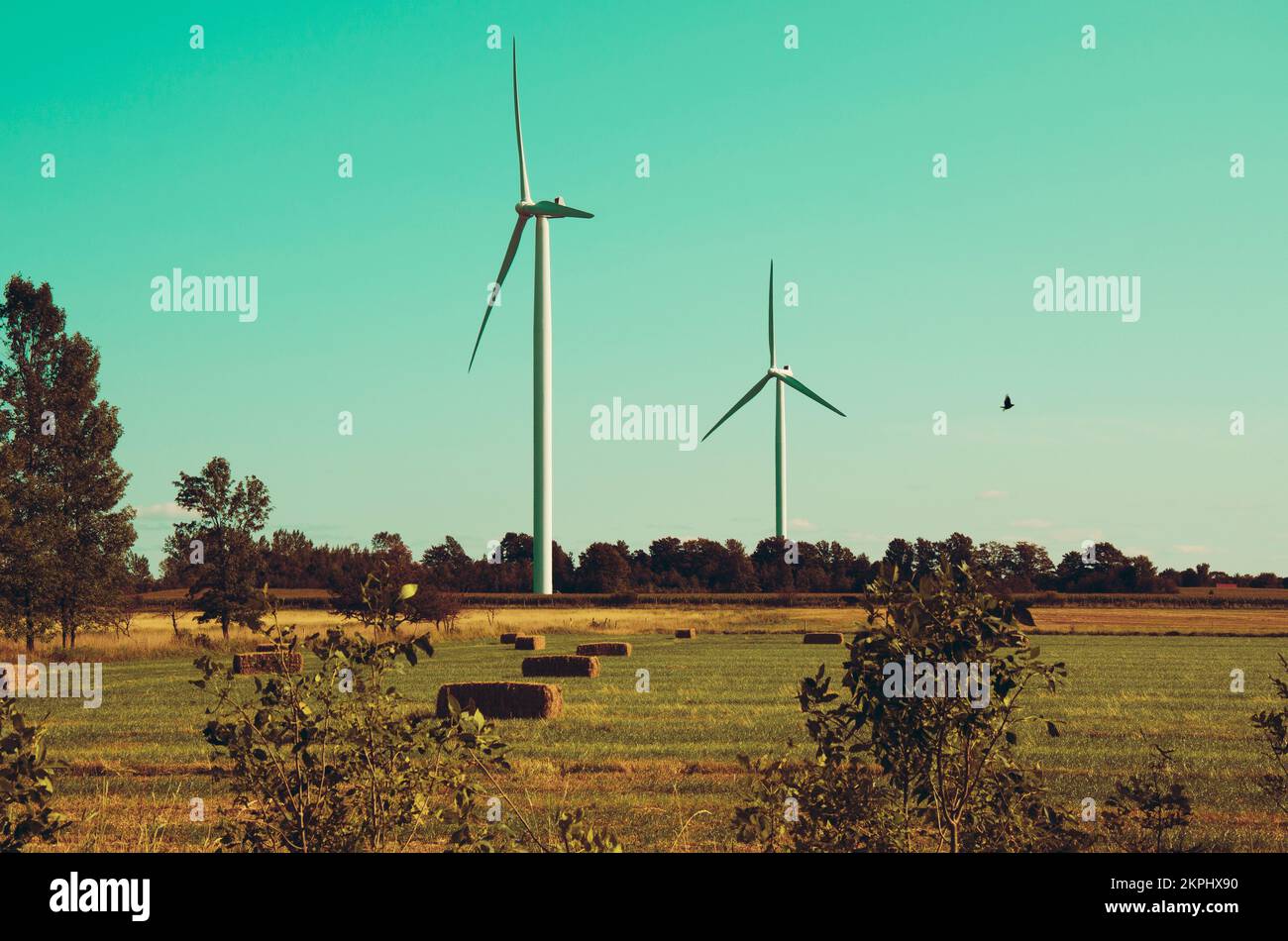 View field windmills electricity hi-res stock photography and images ...