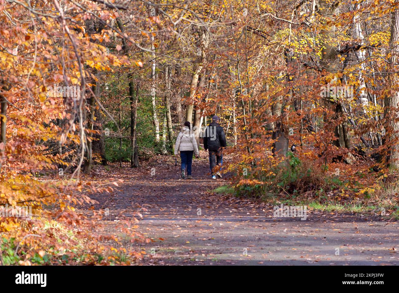 Farnham Common, Buckinghamshire, UK. 28th November, 2022. It was a