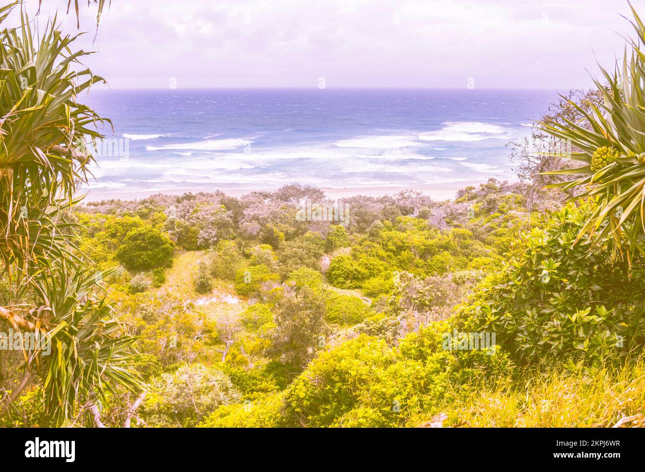 Vibrant vista of coast and country with palms and picturesque rolling