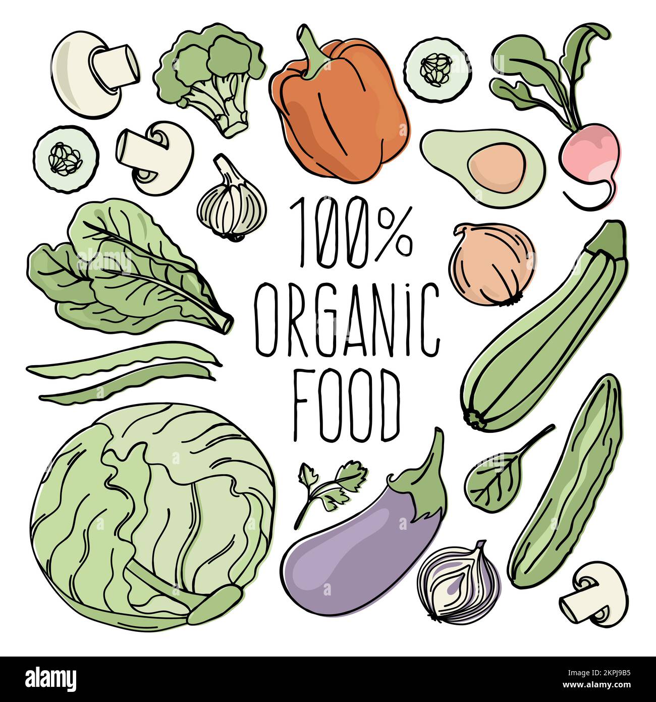 VEGETABLES Ingredients Of Vegetarian Food Menu From Natural Plants For