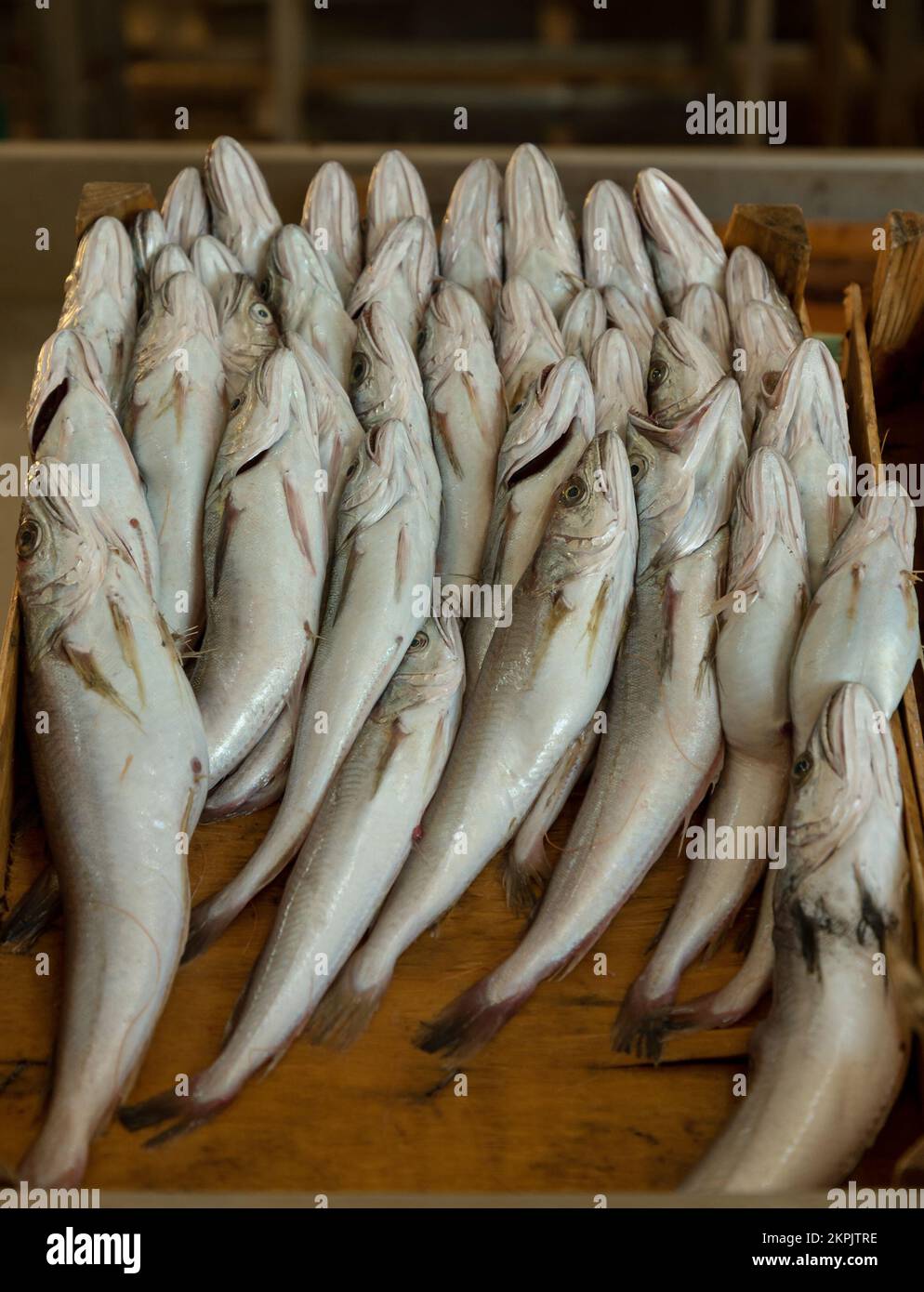 Raw sardines in a box for the fish market Stock Photo Alamy